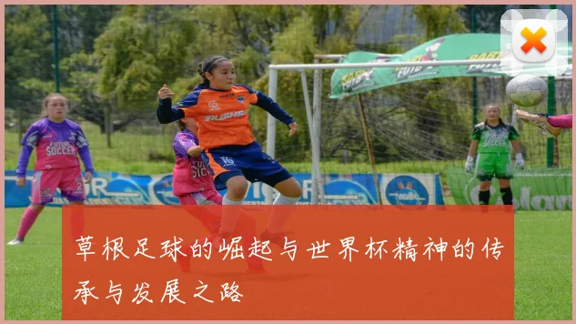 草根足球的崛起与世界杯精神的传承与发展之路