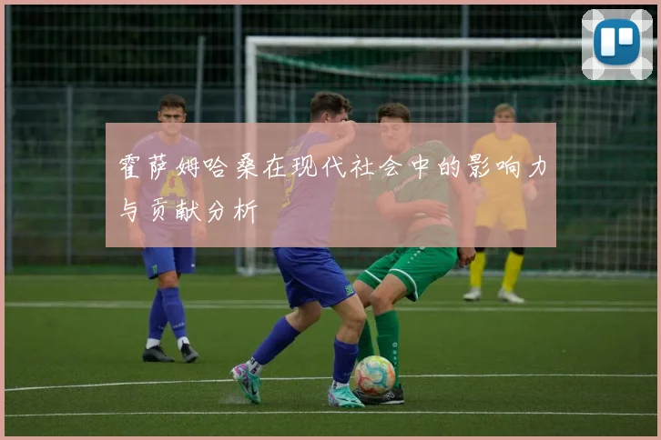 霍萨姆哈桑在现代社会中的影响力与贡献分析