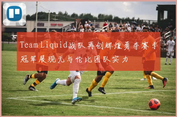 Team Liquid战队再创辉煌勇夺赛季冠军展现无与伦比团队实力