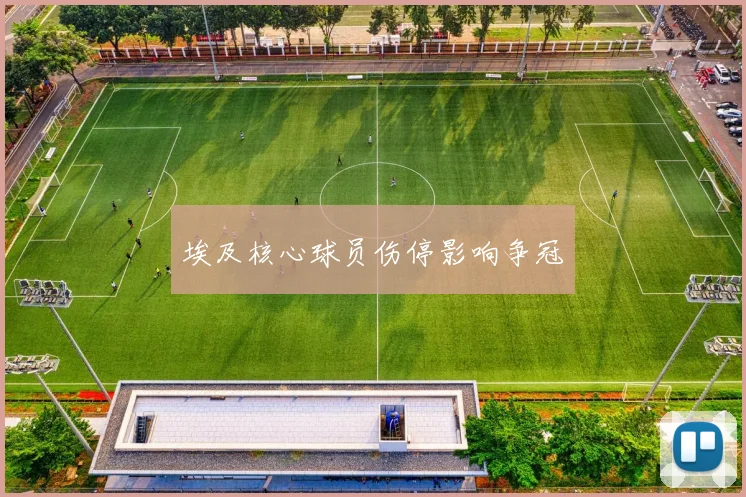埃及核心球员伤停影响争冠