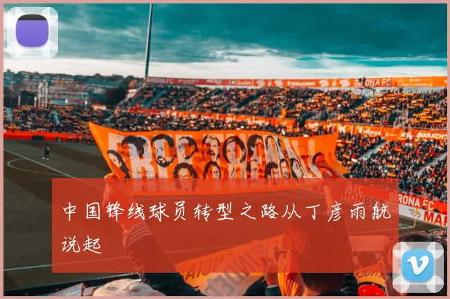 中国锋线球员转型之路从丁彦雨航说起