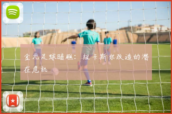 金元足球暗礁：纽卡斯尔改造的潜在危机