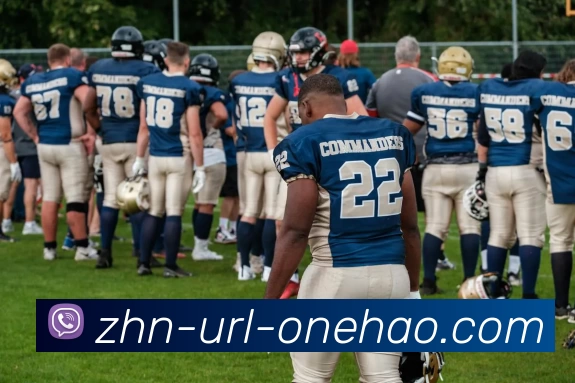 壹号平台生态图